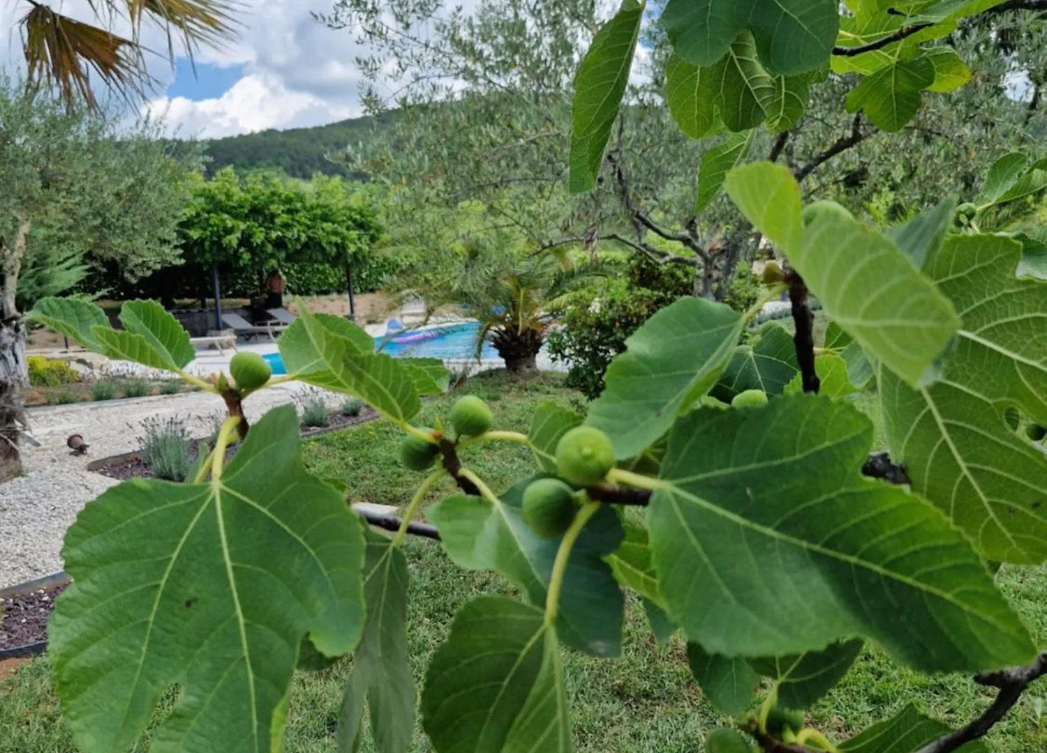 Villa Castelletto Parenzana Motovun