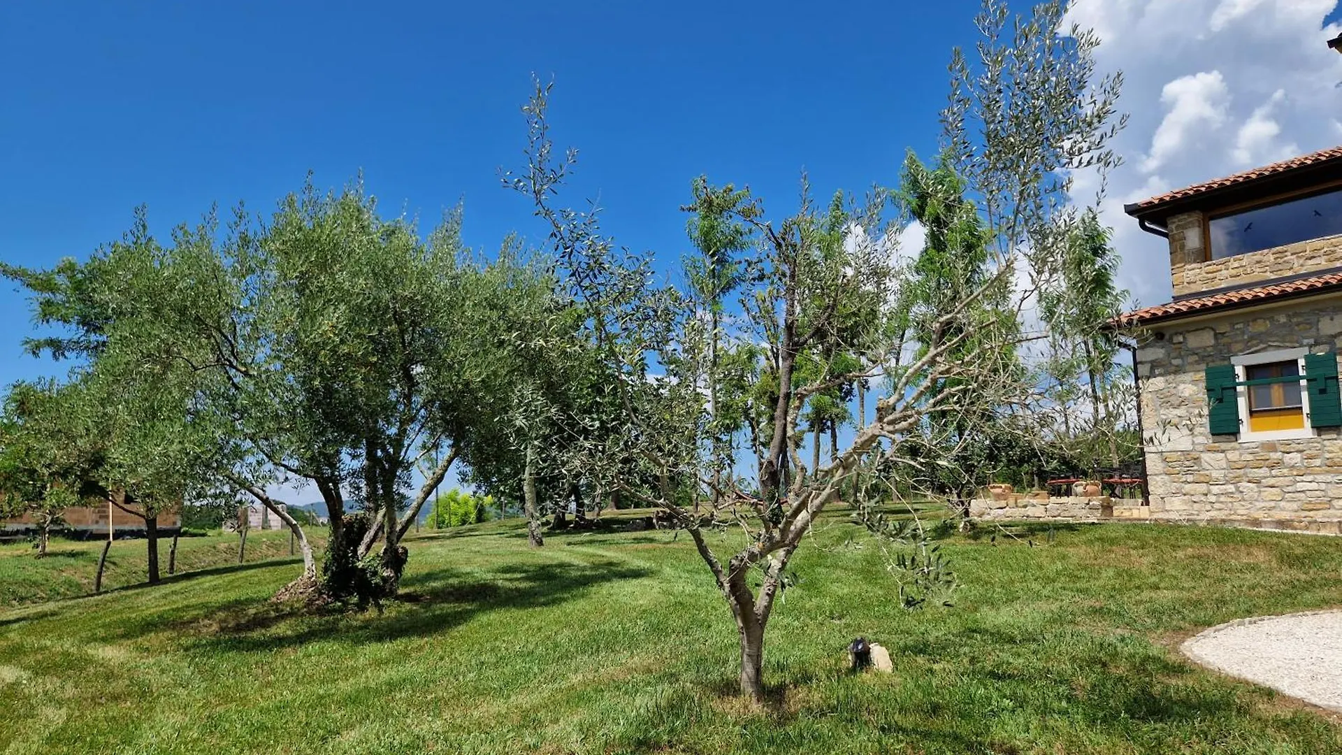 Villa Castelletto Parenzana Motovun 0*,